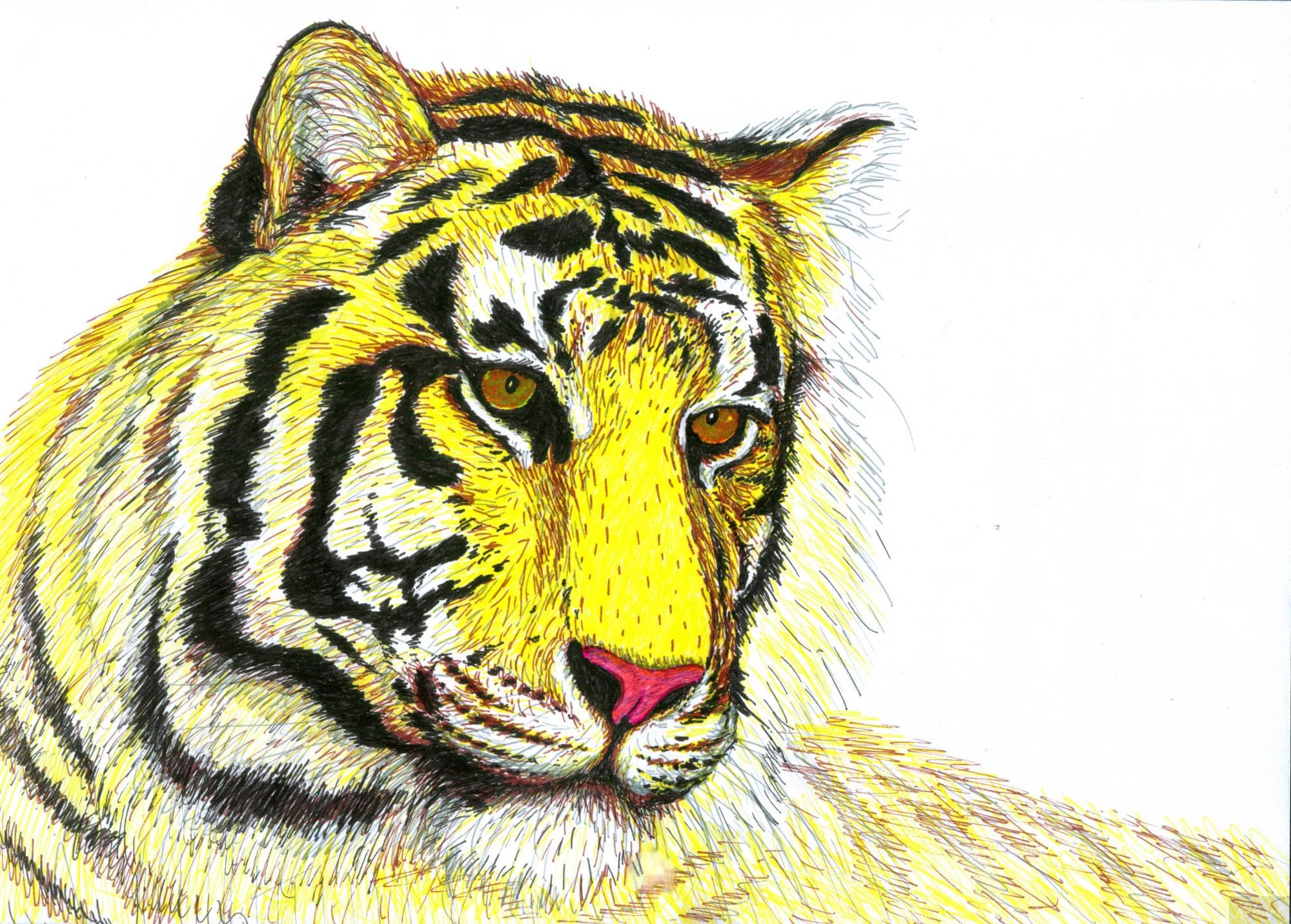 Рисунок Тигр - Чернила