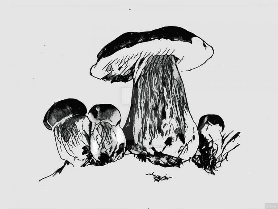 1 Mushrooms