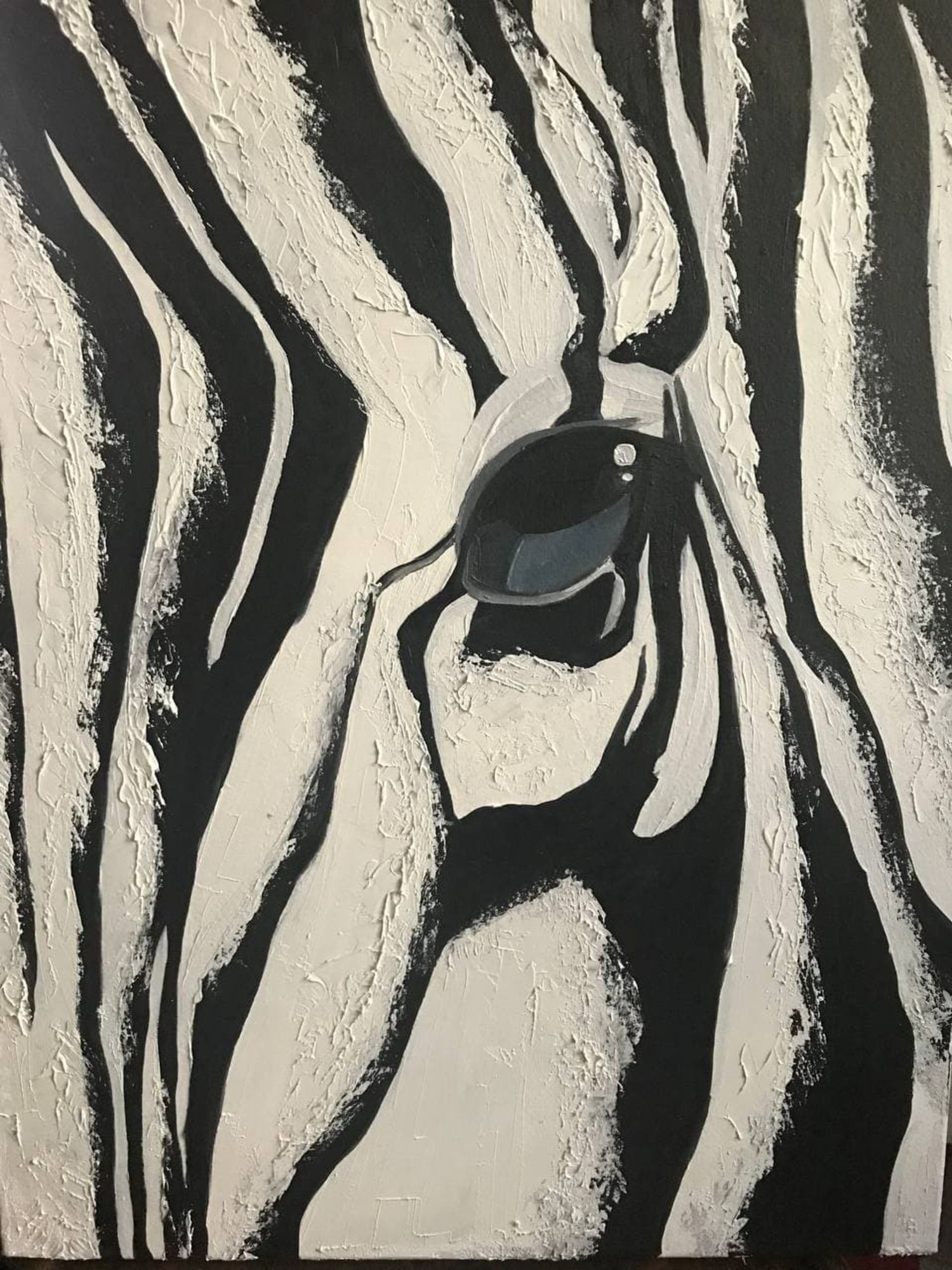 Zebra - 1/1