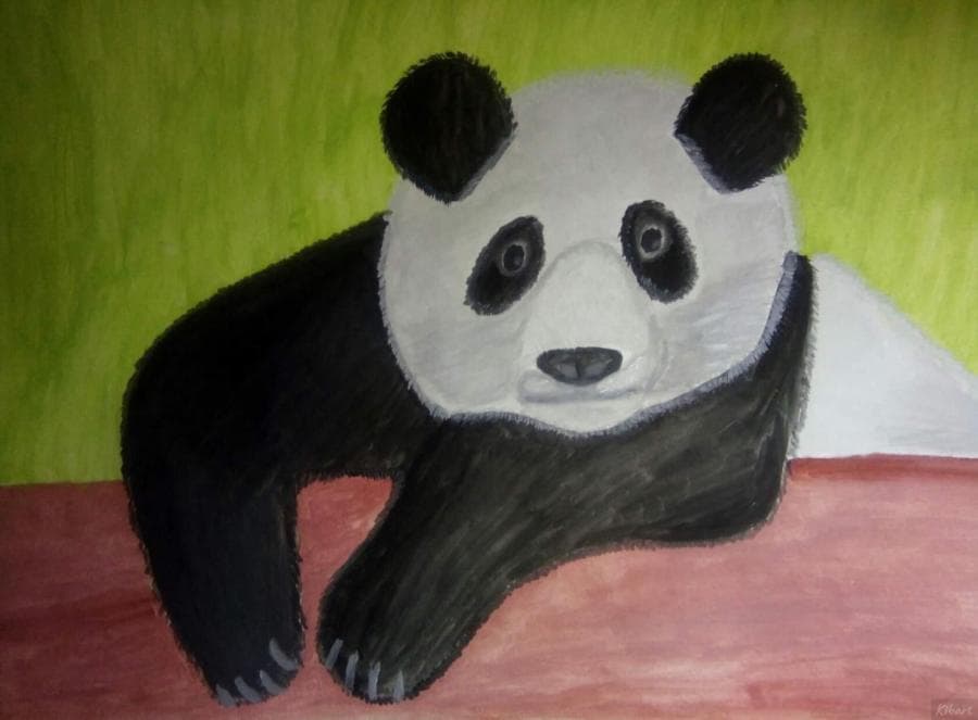 Панда в раздумье