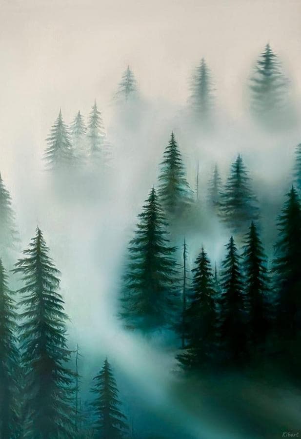 Зеленый лес в тумане