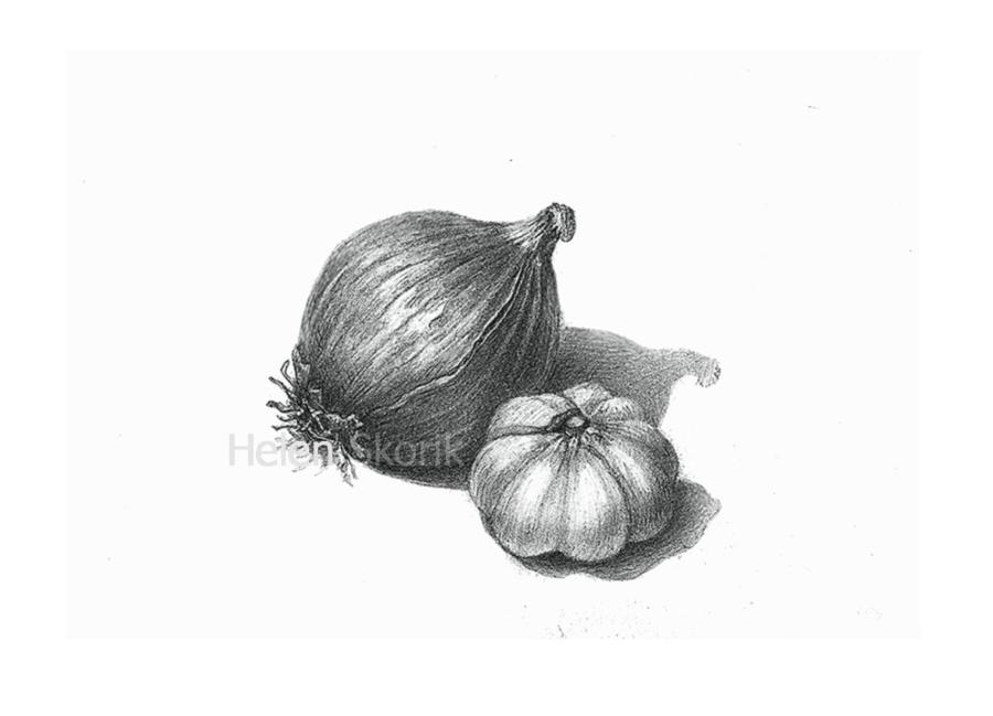 Onion and garlic