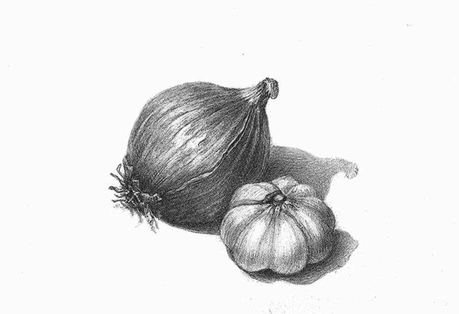 Onion and garlic
