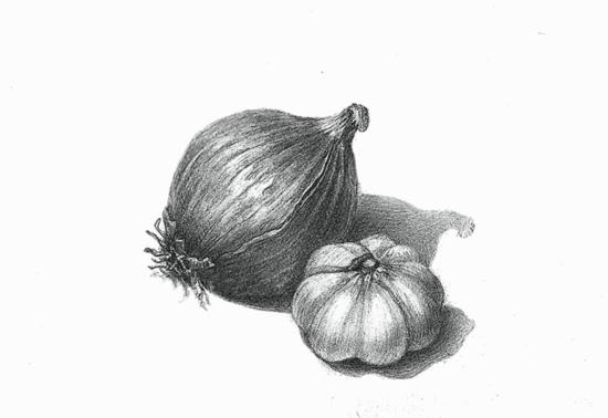 Onion and garlic