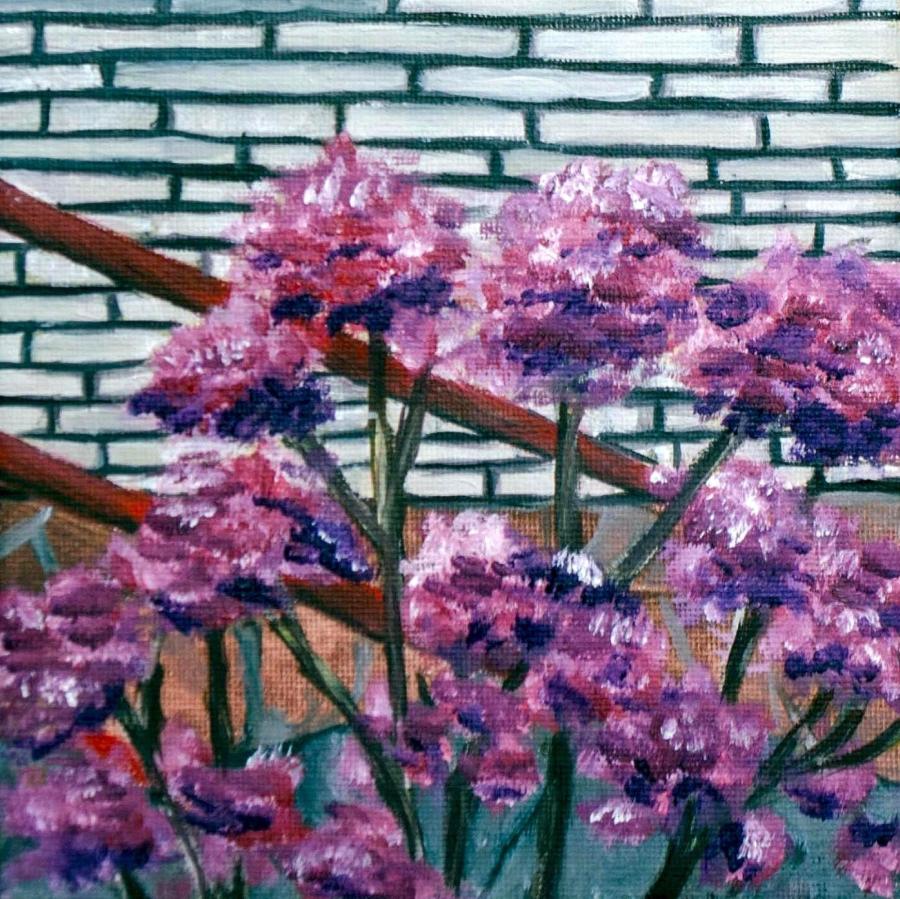 Уличные гвоздики