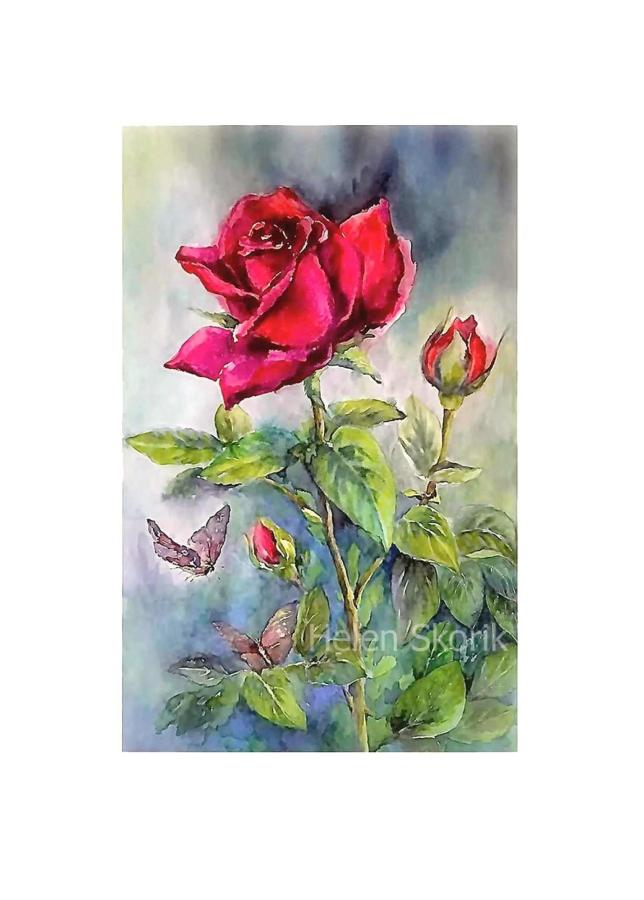 2-Roses