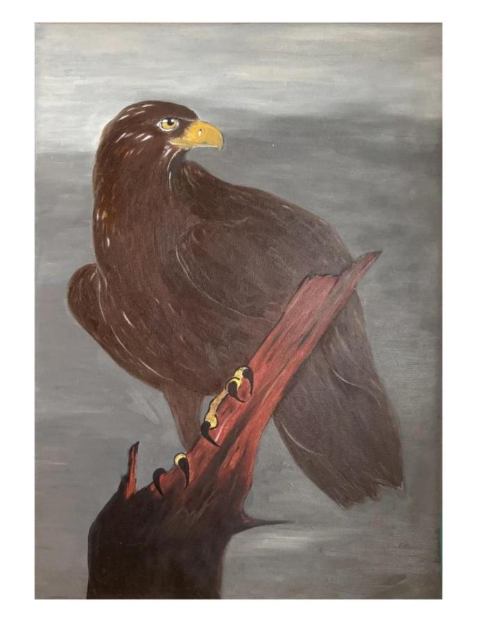 Беркут: орел-символ, опасный даже для хищников