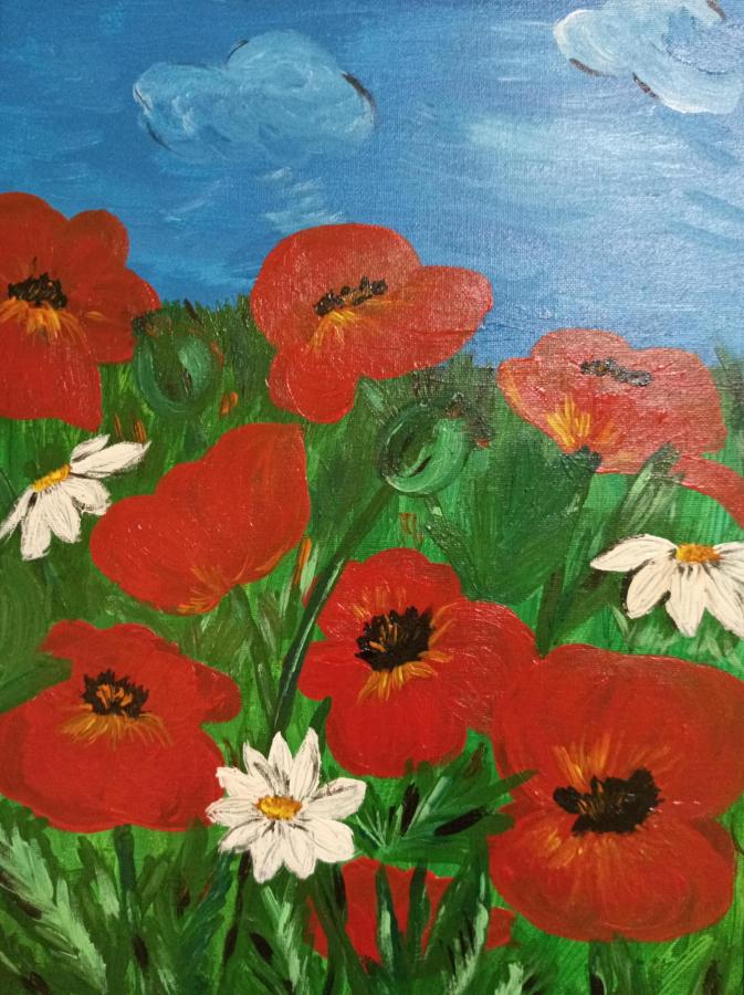 Маки на поле