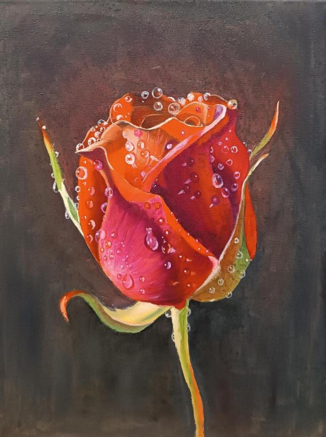 Красная роза