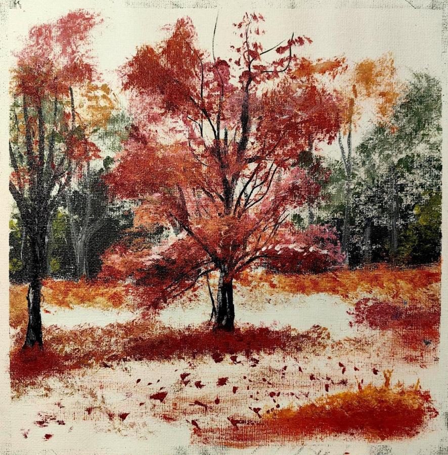 Вспышка красного