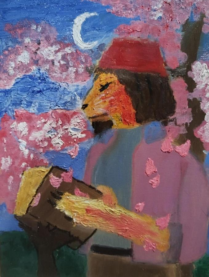 Кошка и волшебная книга