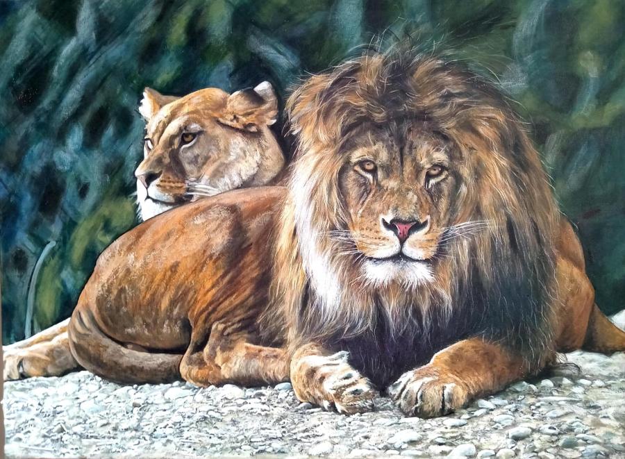 Отдых львов.