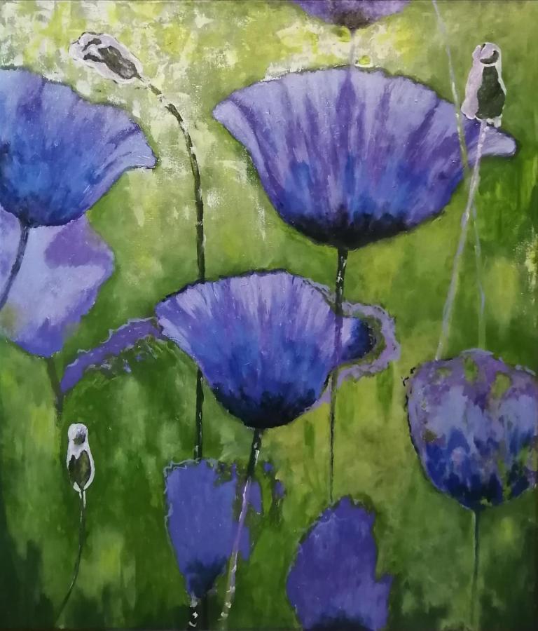 Маки фиолетовые