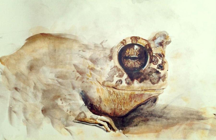 Она что-то знает