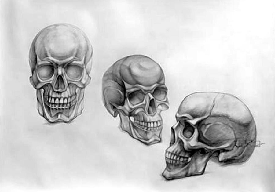 Scull
